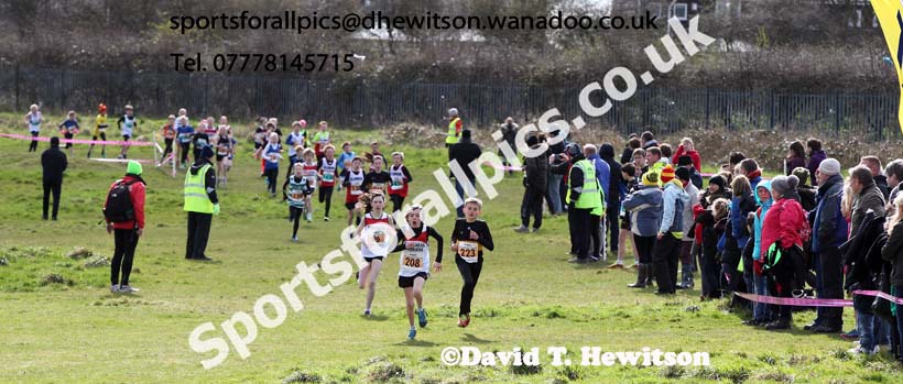 Under-11s, NEHL Wrekenton, Gateshead. 2014 NEH, Wrekenton. Photo: David T. Hewitson/Sports for All Pics